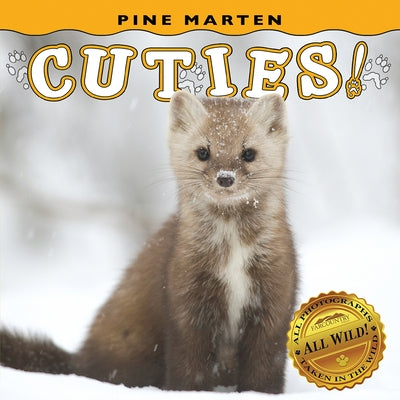 Pine Marten Cuties! by Farcountry Press