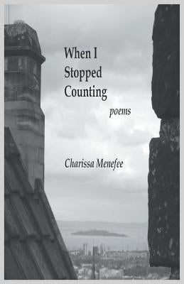 When I Stopped Counting by Menefee, Charissa