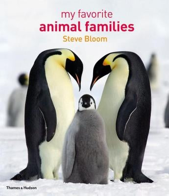 My Favorite Animal Families by Bloom, Steve