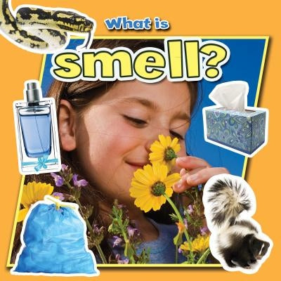 What Is Smell? by Aloian, Molly