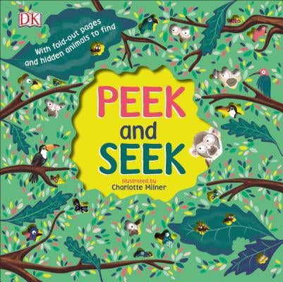 Peek and Seek by DK