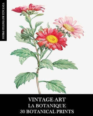 Vintage Art: La Botanique: 30 Botanical Prints for Framing, Collage, Decoupage and Junk Journals by Press, Vintage Revisited