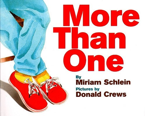 More Than One by Schlein, Miriam