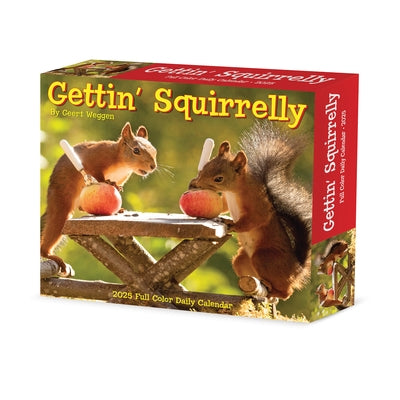 Gettin' Squirrelly 2025 6.2 X 5.4 Box Calendar by Geert Weggen