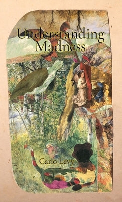 Understanding Madness by Levy, Carlo