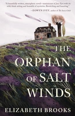 The Orphan of Salt Winds by Brooks, Elizabeth