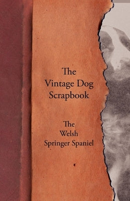 The Vintage Dog Scrapbook - The Welsh Springer Spaniel by Various