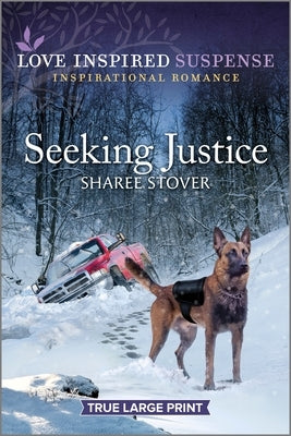 Seeking Justice by Stover, Sharee