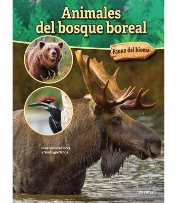 Animales del Bosque Boreal: Boreal Forest Animals by Cocca, Lisa Colozza