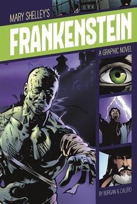 Frankenstein: A Graphic Novel by Shelley, Mary