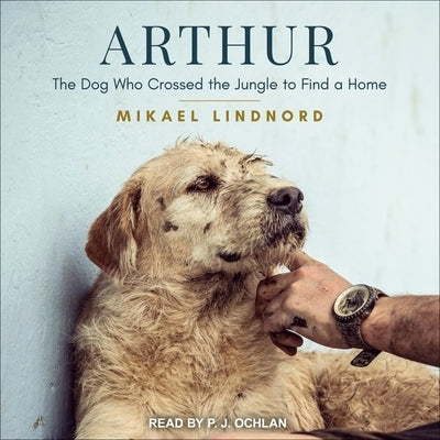 Arthur: The Dog Who Crossed the Jungle to Find a Home by Lindnord, Mikael