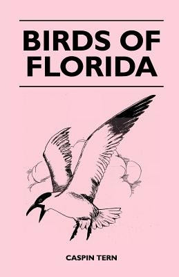 Birds of Florida by Tern, Caspin