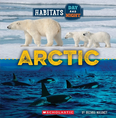 Arctic (Wild World: Habitats Day and Night) by Maloney, Brenna