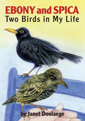 Ebony and Spica: Two Birds in My Life by Doolaege, Janet