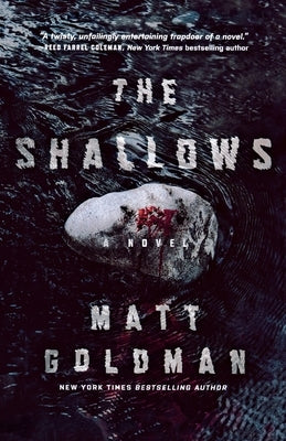 The Shallows: A Nils Shapiro Novel by Goldman, Matt