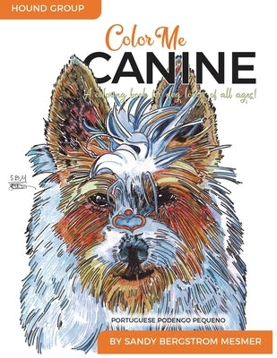 Color Me Canine (Hound Group) by Mesmer, Sandy Bergstrom