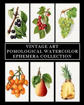Vintage Art: Pomological Watercolor: Ephemera Collection: Botanical Fruit Prints by Press, Vintage Revisited