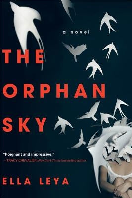 The Orphan Sky by Leya, Ella