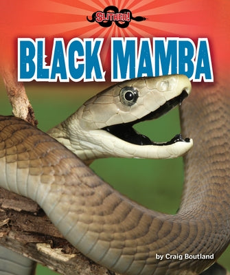 Black Mamba by Boutland, Craig