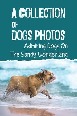 A Collection Of Dogs Photos: Admiring Dogs On The Sandy Wonderland: Cute Dog Pictures by Oris, Mary