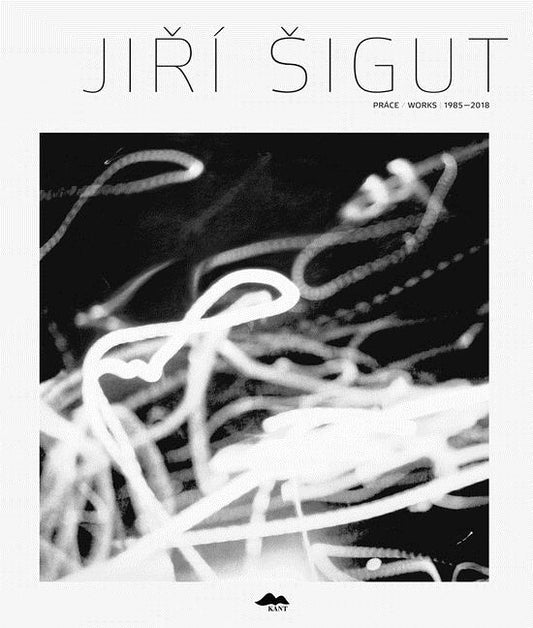 Jiri Sigut: Works 1985-2018 by Sigut, Jiri