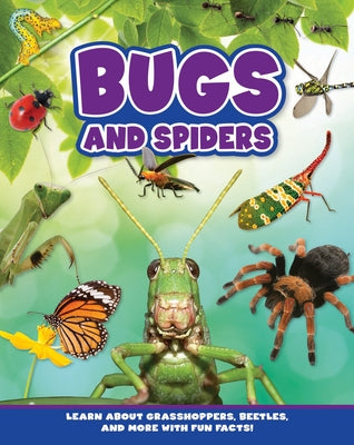 Bugs and Spiders by Flying Frog