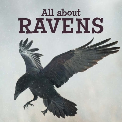 All about Ravens: English Edition by Arvaaq Press