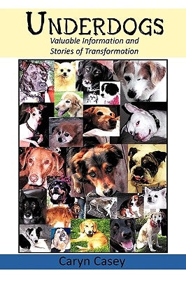 Underdogs: Valuable Information and Stories of Transformation by Casey, Caryn