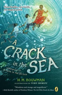 A Crack in the Sea by Bouwman, H. M.