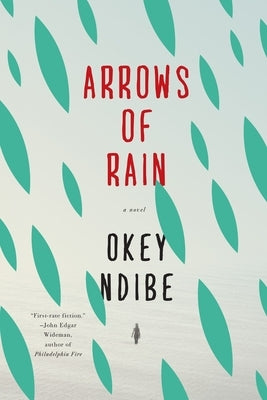 Arrows of Rain by Ndibe, Okey