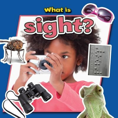 What Is Sight? by Aloian, Molly