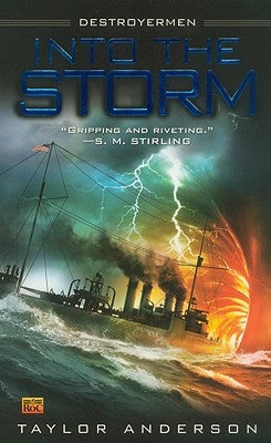 Into the Storm by Anderson, Taylor