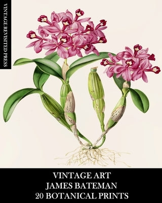 Vintage Art: James Bateman: 20 Botanical Prints: Orchid Ephemera for Framing, Home Decor, Collage and Decoupage by Press, Vintage Revisited