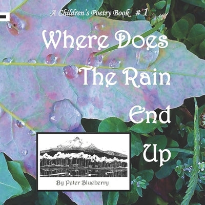 Where does the Rain end up by Blueberry