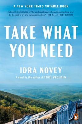 Take What You Need by Novey, Idra