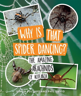 Why Is That Spider Dancing?: The Amazing Arachnids of Aotearoa by Pollard, Simon