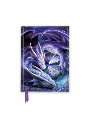 Anne Stokes: Welcome Hatchling 2025 Luxury Pocket Diary Planner - Week to View by Flame Tree Studio