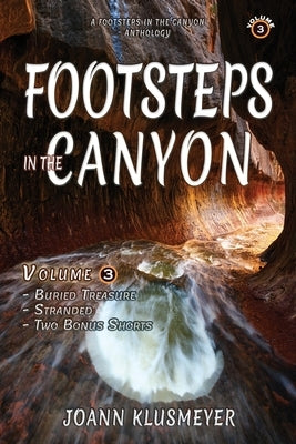 Buried Treasure and Stranded: A Footsteps in the Canyon Anthology by Klusmeyer, Joann