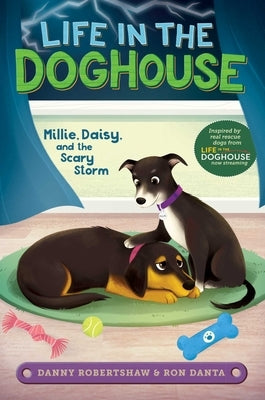 Millie, Daisy, and the Scary Storm by Robertshaw, Danny