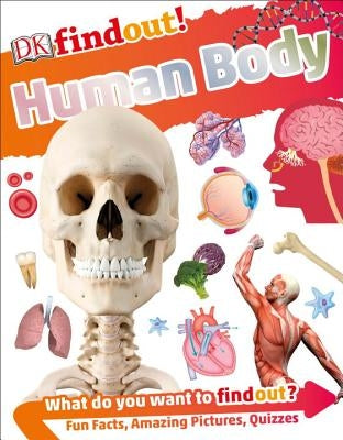 Dkfindout! Human Body by DK