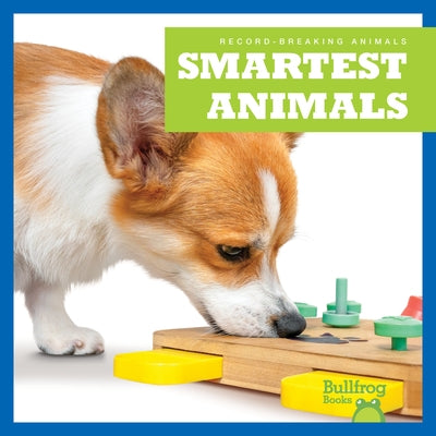 Smartest Animals by Austen, Lily