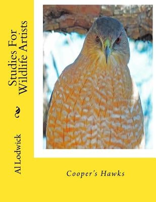 Cooper's Hawks: Studies For Wildlife Artists by Lodwick, Al