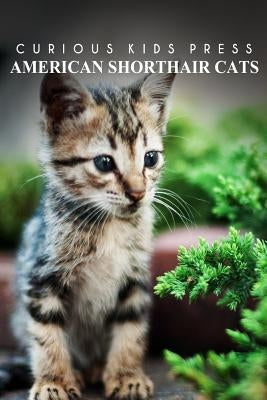 American Shorthair Cat - Curious Kids Press: Kids book about animals and wildlife, Children's books 4-6 by Press, Curious Kids