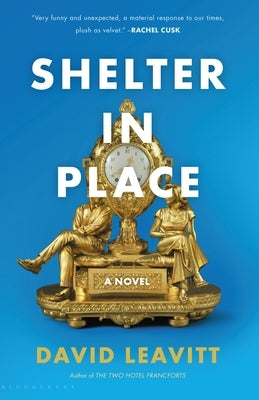 Shelter in Place by Leavitt, David