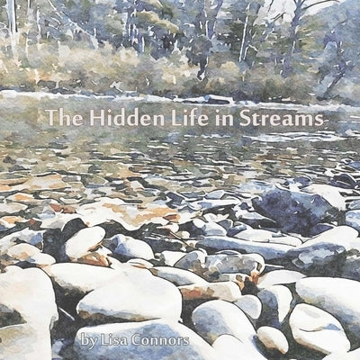 The Hidden Life in Streams by Connors, Lisa