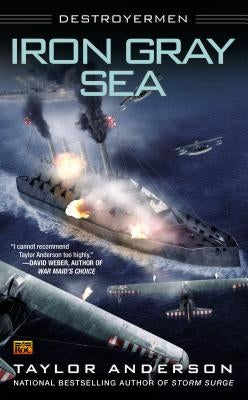 Iron Gray Sea: Destroyermen by Anderson, Taylor