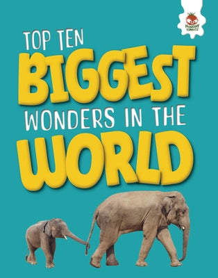 Top Ten Biggest Wonders in the World by Allan, John