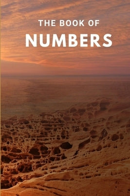 The Book Of Numbers by Mandera, Joe