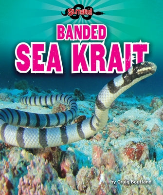 Banded Sea Krait by Boutland, Craig