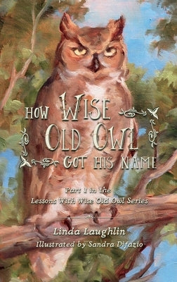 How Wise Old Owl Got His Name by Laughlin, Linda